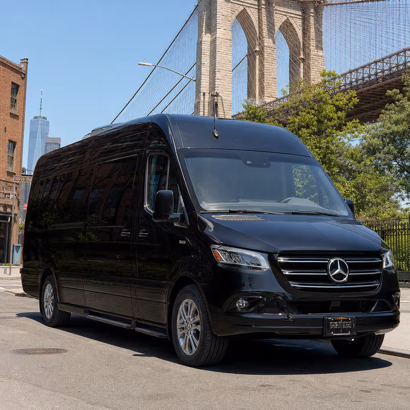14 Passenger Sprinter Limo